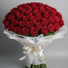 Букет 101 Красная роза Блэк Мэджик в Мирный