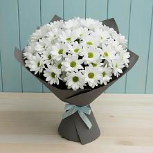 Букет цветов из:  Хризантемы в Мирный