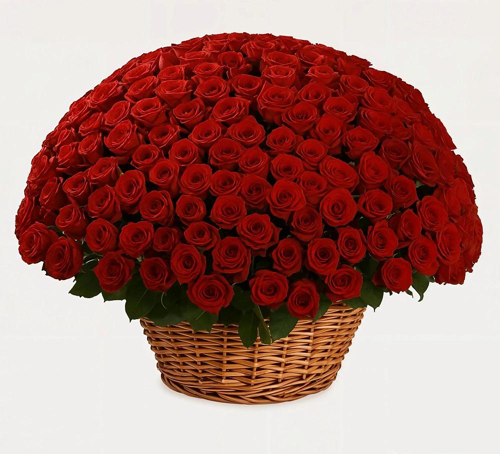 Премиум букет из: Розы в Мирный