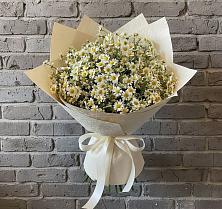 Букет цветов из:  Ромашки в Мирный
