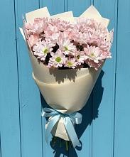 Букет цветов из:  Хризантемы в Мирный