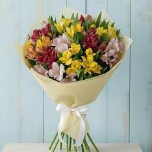 Букет цветов из:  Альстромерии в Мирный