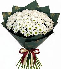 Букет цветов из:  Хризантемы #REPLACE_PRED# Мирный