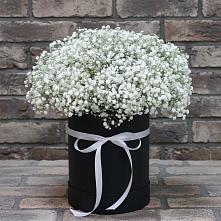 Цветочная композиция из Гипсофила в шляпной коробке #REPLACE_PRED# Мирный
