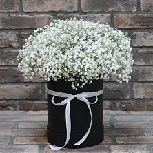 Цветочная композиция из Гипсофила в шляпной коробке в Мирный