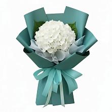 Букет цветов из:  Гортензия #REPLACE_PRED# Мирный